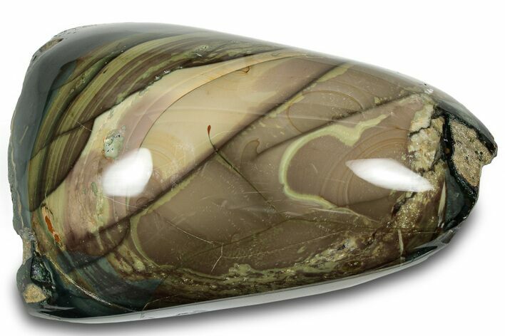 Polished Section of Blue Mountain Jasper - Oregon #316127